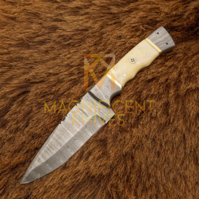 Untitled design (9)